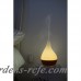 Canary Products Glass and Bamboo Aroma Diffuser CNPT1049
